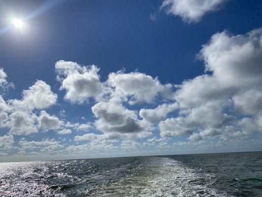 The view from the ferry