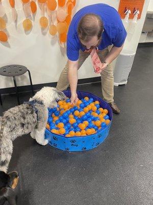 Bobbing for Treats