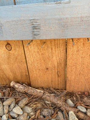 Bottom of fence. I'm afraid to try and stain