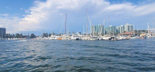 The view of the Marina from the water bus