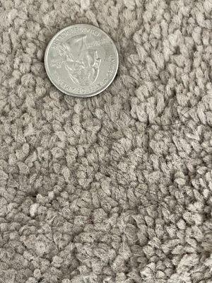 The look of our carpet after their "deep cleaning."   Hair all over.  (Quarter placed for scale)