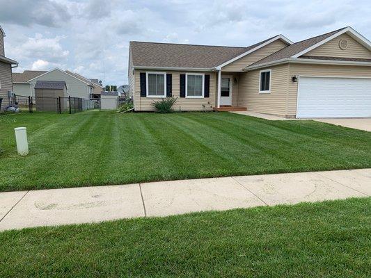 Residential or Commercial Lawn Mowing