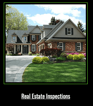 Real Estate Inspection