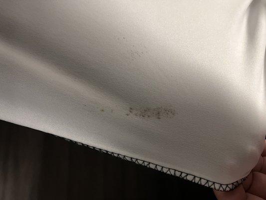 Mildew stain on one of the mattress covers