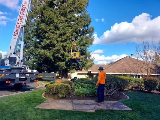 Stump grinder being placed where it was to be in service. NO driving over my lawn