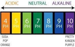 For optimal health, maintain proper acid/alkaline balance of your body.