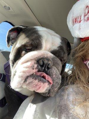 Big Blue and I go for a Eggnog Latte. They make the best folks. He's asking " momma are we getting Munchkins?"