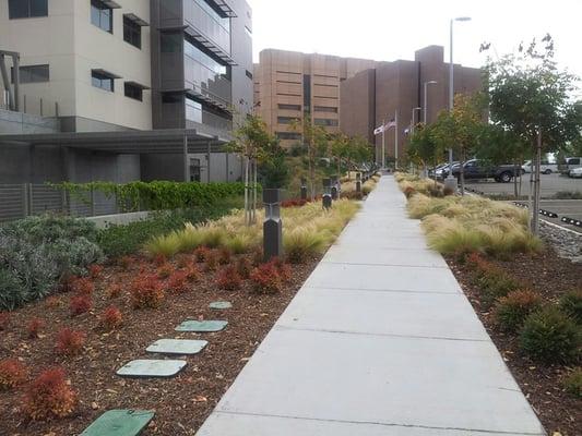 pathway to court (brown building)