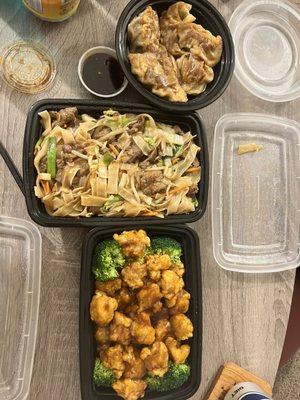 Beef Ho Fun, dumplings, General Tsos Chicken