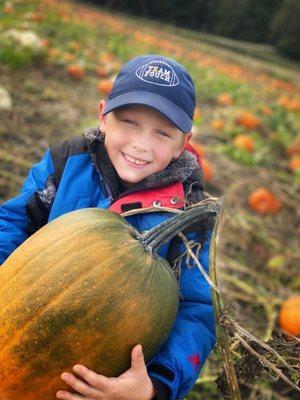 We are planting over 20,000 pumpkin seeds this year.