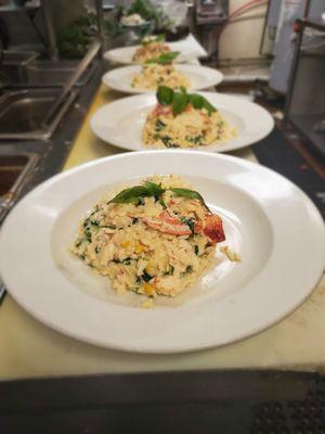 Lobster creamy risotto