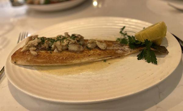 The Sautéed Genuine Holland Dover Sole was absolutely incredible!! Soooo good!!