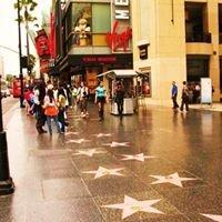 Hollywood Walk of Fame
 3 Hour Hollywood Tour