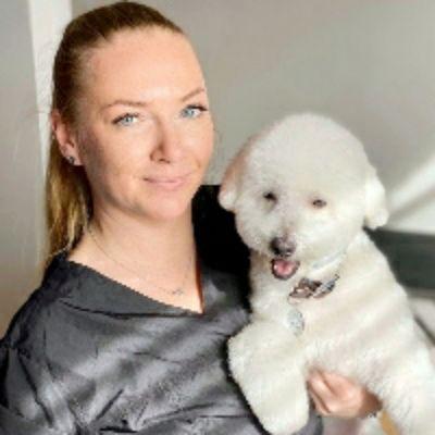 Premium House Call Dog Grooming Service in Los Angeles