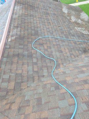 roof cleaning valrico