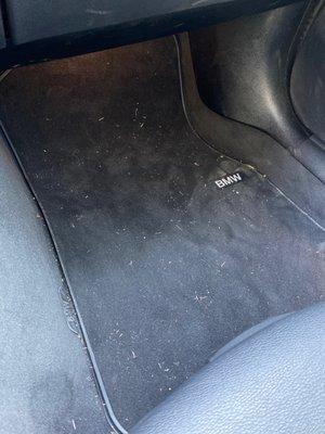 Passenger mats. Just needs regular vacuum.