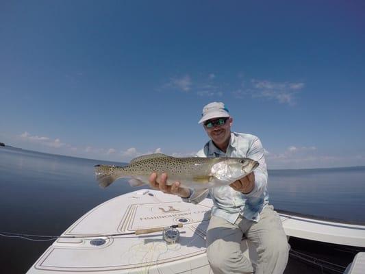 Big Seatrout on fly