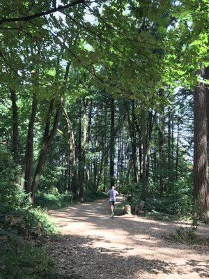 Lovely walking trail with a few benches for wimps like me.