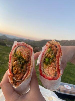 Sushi Burrito