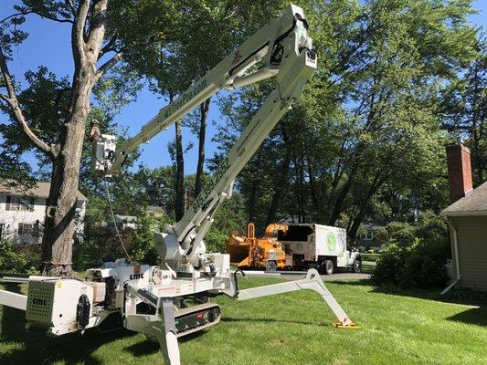 Armin's Tree Service www.nytreepro.com 845-399-2552