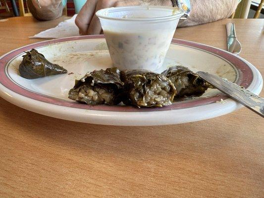 Dolmas cut to show what's inside. Tangy and creamy and delicious!