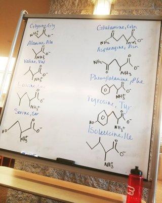 Study session. White boards for use throughout the library.