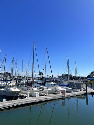 Dock @ the Club Natique Yacht Club