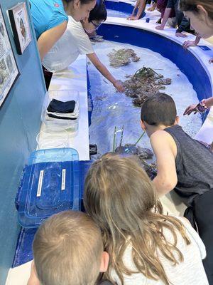 Touch tank