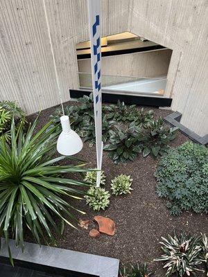 Atriums throughout the buildings