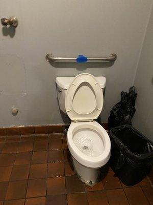 Toilet. Sit or squat?