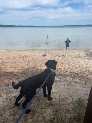 South Higgins Lake State Park