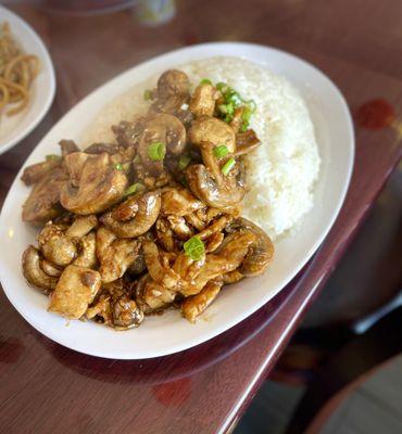 Chicken and Mushroom lunch plate