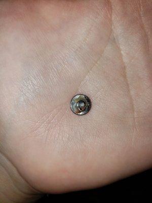 Screw found in the subway sandwich