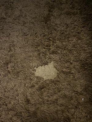 Hole in the filthy carpet