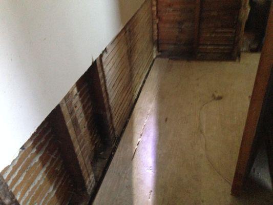 Water Damaged house in Queens New York. As a water mitigation company, we cleaned up and dried out the whole house.