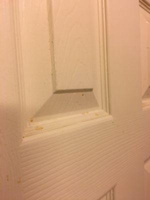 There was something sprayed on the bathroom door that looked suspiciously like urine.