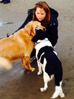 Weekend Dog Nanny at the Beach