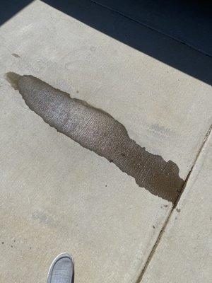 My driveway with oil that leaked out.