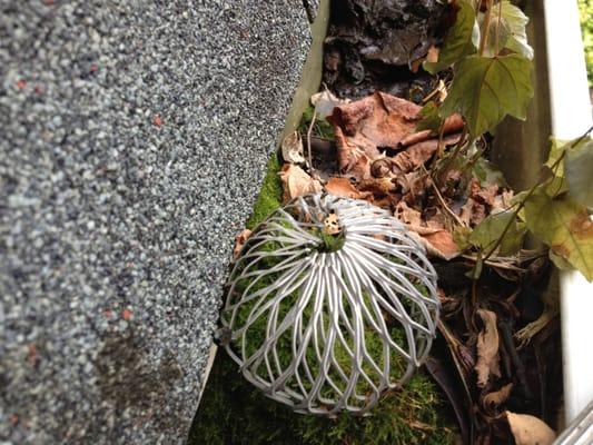 Recent shot of very clogged gutter and downspout strainer, definitely needs cleaning more often!