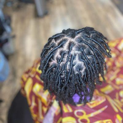 Starter locs