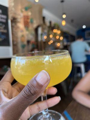 Mimosa