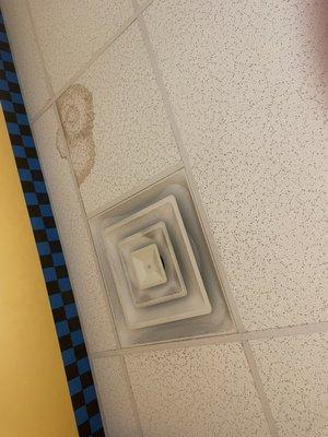 More ceiling water leak stain