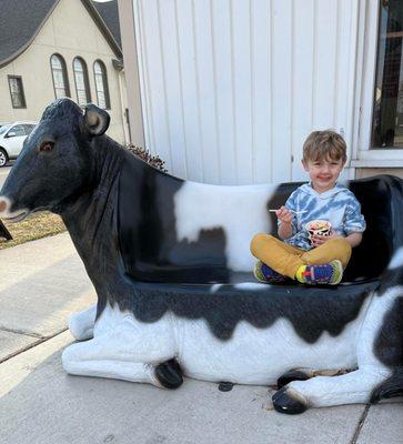 Take a picture on our cow bench!