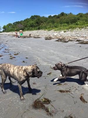 Daycare at the beach