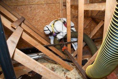 Animals sometimes defecate and urinate in attic areas. We remove and replace soiled insulation to keep your home sanitary.