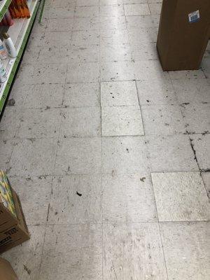 This store is always so gross. The whole floor looks like this. Does it ever get cleaned?