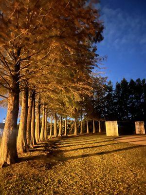 The New Orleans Katrina Memorial