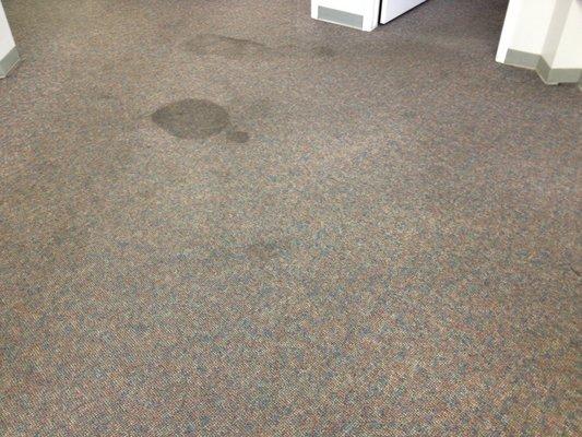 Stains in office carpet.