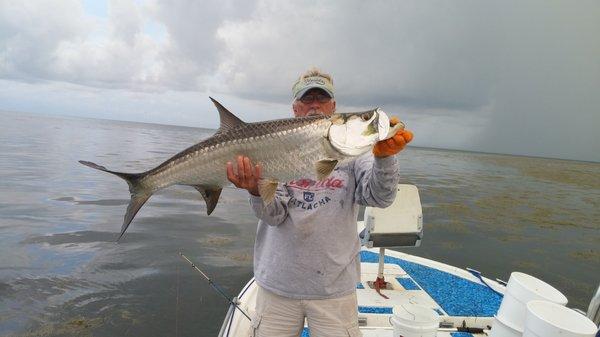 A Beautiful Baby Tarpon