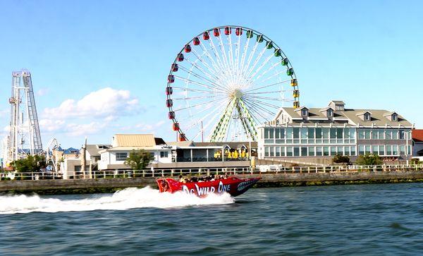 Ride The Wild One! Ocean City's fastest Speed Boat!